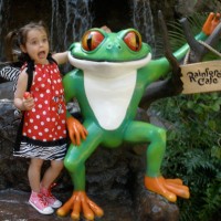 Rainforest Cafe review