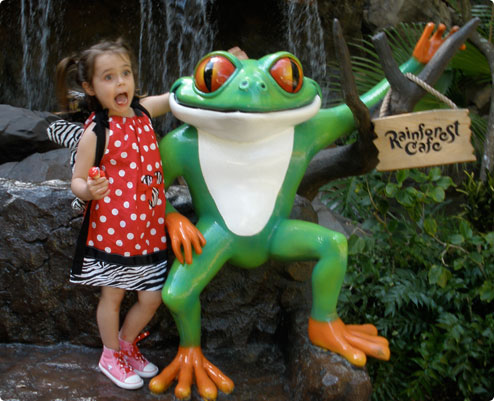 Rainforest Cafe's tree frog sign