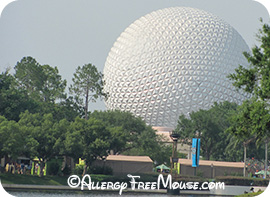 Disney Epcot food allergy reviews