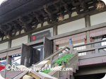 Teppan Edo milk allergy