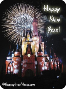 Fireworks at Cinderella's Castle December 2012