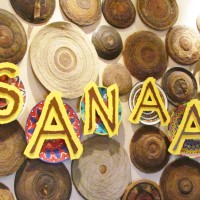 Sanaa food allergy quick review