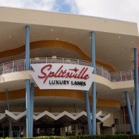 Splitsville food allergy quick review