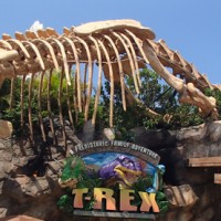 T-REX food allergy quick review