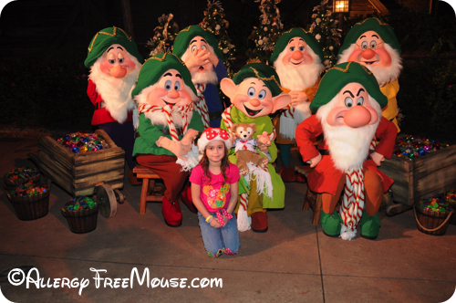 Meet the 7 Dwarfs at Mickey's Very Merry Christmas Party
