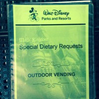 Food allergy ingredients for Disney outdoor carts