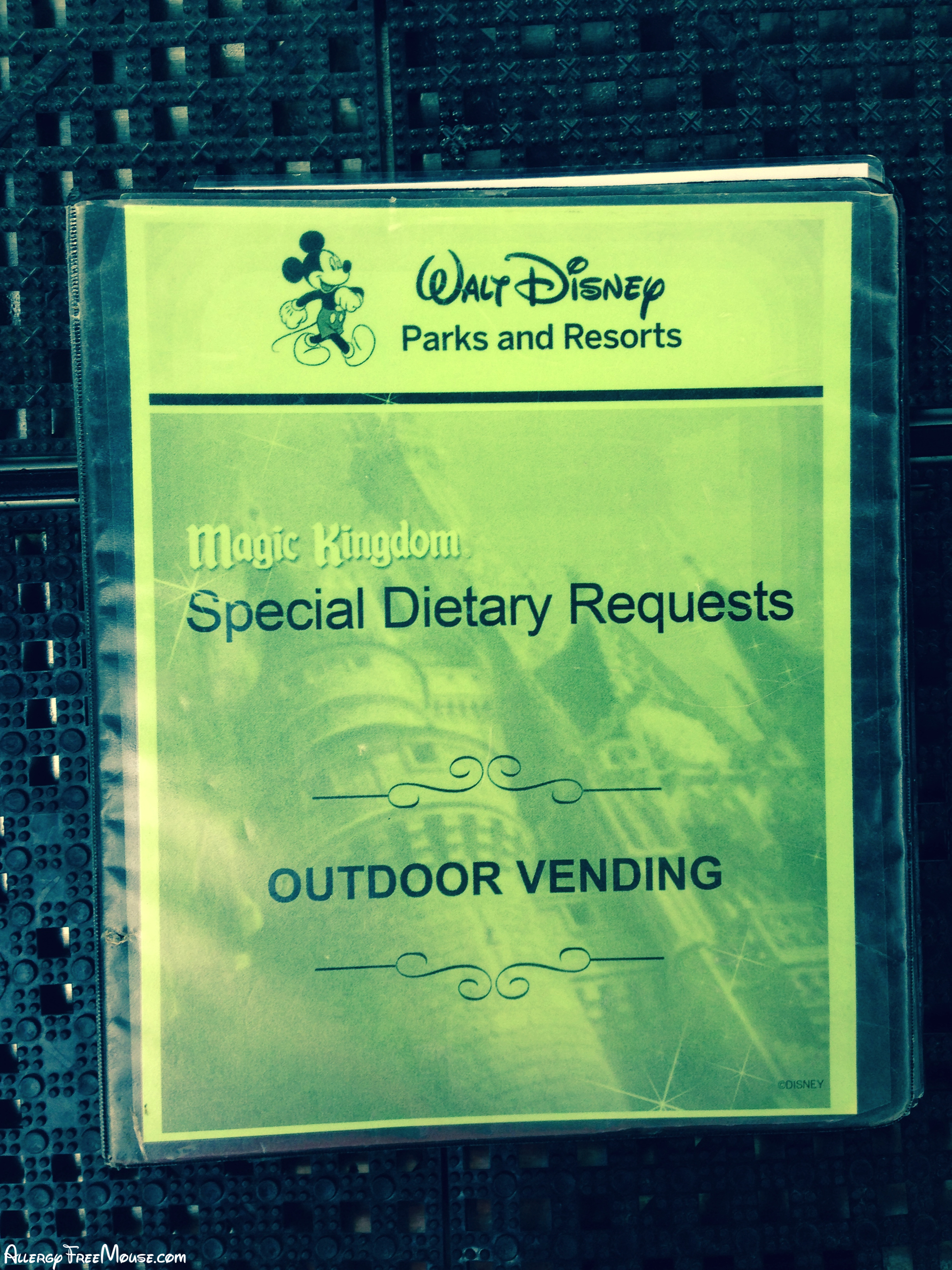 Food allergy ingredients for Disney outdoor carts