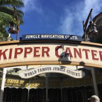 Skipper Canteen with dairy and egg allergies