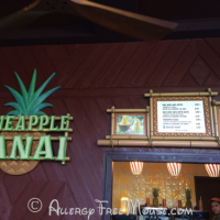 Polynesian Resort - Pineapple Lanai for Dole Whips